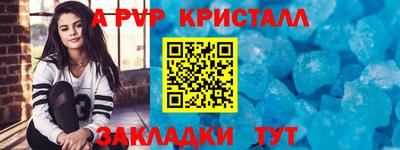 крисы Новозыбков