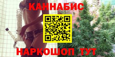 крисы Новозыбков