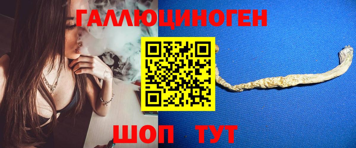 Галлюциногенные грибы Psilocybe  цена   Сальск  Вход с VPN 