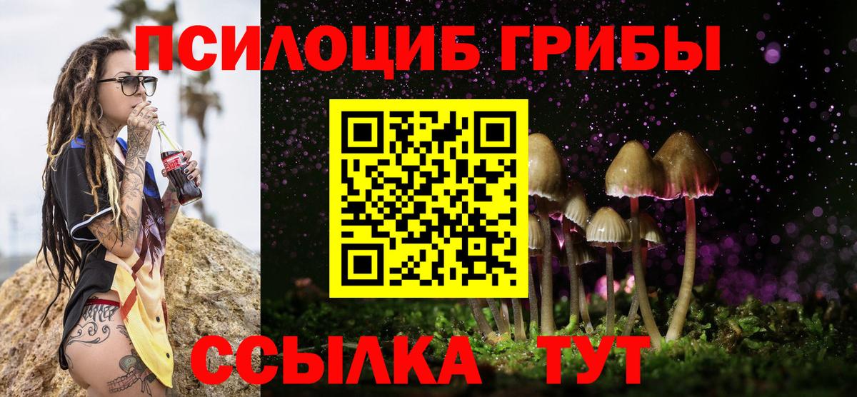 Псилоцибиновые грибы Cubensis Сальск